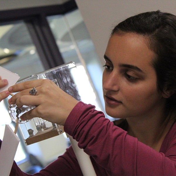 Undergraduate Certificate in Engineering Leadership